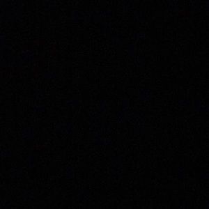 Meet your Posher, Max